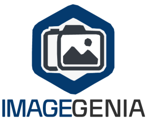 Logo ImageGenIA